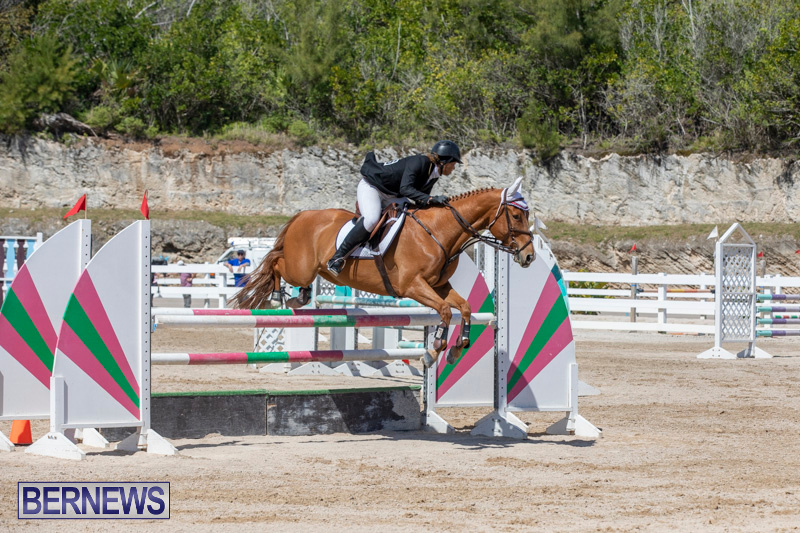 FEI-Jumping-World-Challenge-Competition-3-Bermuda-March-9-2019-0369