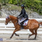 FEI Jumping World Challenge Competition 3 Bermuda, March 9 2019-0375