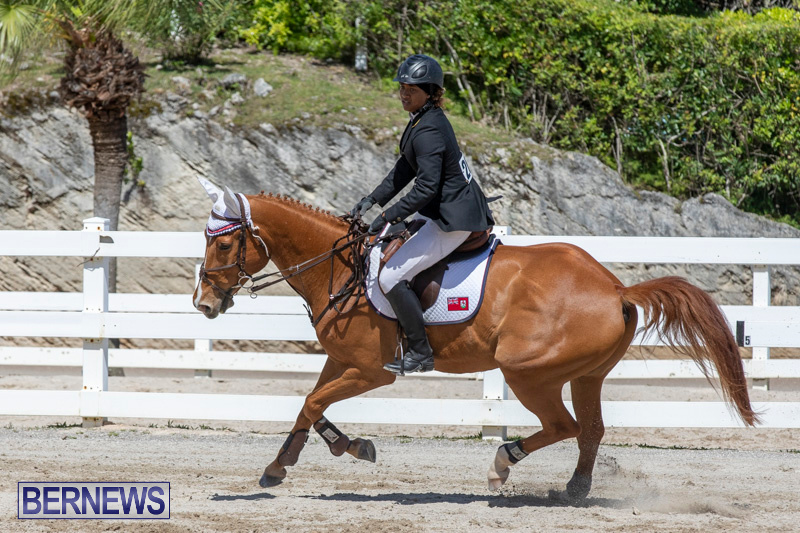 FEI-Jumping-World-Challenge-Competition-3-Bermuda-March-9-2019-0375