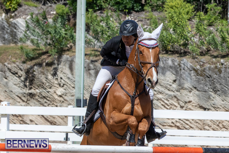 FEI-Jumping-World-Challenge-Competition-3-Bermuda-March-9-2019-0378