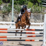 FEI Jumping World Challenge Competition 3 Bermuda, March 9 2019-0379