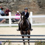 equestrian Bermuda Mar 27 2019 (14)