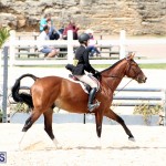 equestrian Bermuda Mar 27 2019 (15)