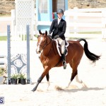 equestrian Bermuda Mar 27 2019 (16)