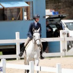 equestrian Bermuda Mar 27 2019 (19)