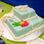 Ag Show Baked Goods Cakes Bermuda, April 10 2019-9610
