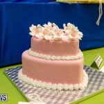 Ag Show Baked Goods Cakes Bermuda, April 10 2019-9616