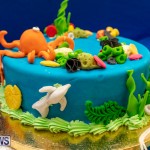 Ag Show Baked Goods Cakes Bermuda, April 10 2019-9618