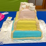 Ag Show Baked Goods Cakes Bermuda, April 10 2019-9635