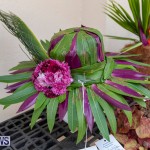 Ag Show Plants Bermuda, April 10 2019-9413