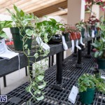 Ag Show Plants Bermuda, April 10 2019-9438
