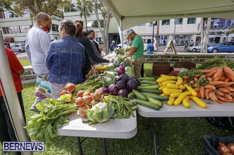 Farmer’s Market Eat More Vegetables Bermuda April 10 2019 (13)