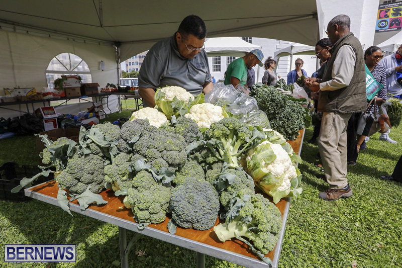 Farmer’s Market Eat More Vegetables Bermuda April 10 2019 (5)