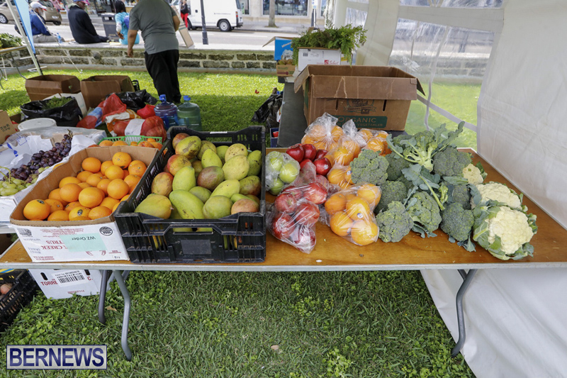 Farmer’s Market Eat More Vegetables Bermuda April 10 2019 (8)