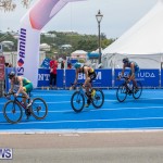 World Triathlon Bermuda Elite Men’s Race April 27 2019 (24)