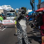 Bermuda Day Parade May 25 2018 (1)
