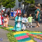 Santo Cristo Dos Milagres Festival Bermuda, May 19 2019-7410