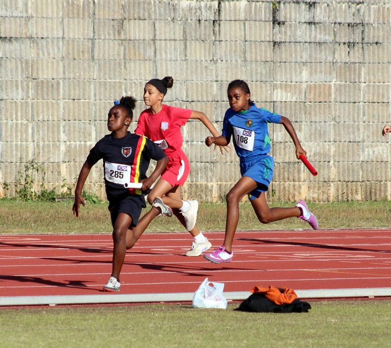 Bermuda School Relay Classic Results Bernews