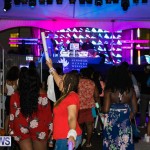BHW Bermuda Heroes Weekend Carnival 5 star friday 2018 (13)