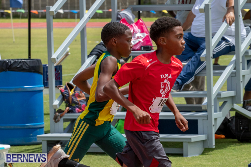 BNAA-National-Championships-Track-Meet-Bermuda-June-8-2019-4317