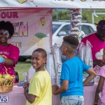 Somerset Bridge Recreation Club SBRC Round Table Derby Community Fun Day Bermuda, June 1 2019 (2)