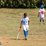 23rd Annual Mini Cup Match Bermuda, July 25 2019-0948