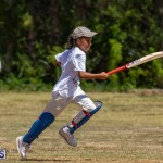 23rd Annual Mini Cup Match Bermuda, July 25 2019-1285
