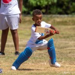 23rd Annual Mini Cup Match Bermuda, July 25 2019-1400