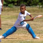 23rd Annual Mini Cup Match Bermuda, July 25 2019-1401