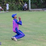 ICC Americas T20 World Cup Qualifier Bermuda vs Cayman Islands Cricket, August 25 2019-2672