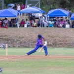ICC Americas T20 World Cup Qualifier Bermuda vs Cayman Islands Cricket, August 25 2019-2776
