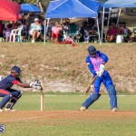 ICC Americas T20 World Cup Qualifier Bermuda vs Cayman Islands Cricket, August 25 2019-3154