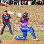 ICC Americas T20 World Cup Qualifier Bermuda vs Cayman Islands Cricket, August 25 2019-3170