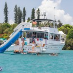 Non Non-Mariners Raft Up Bermuda, August 4 2019-2424