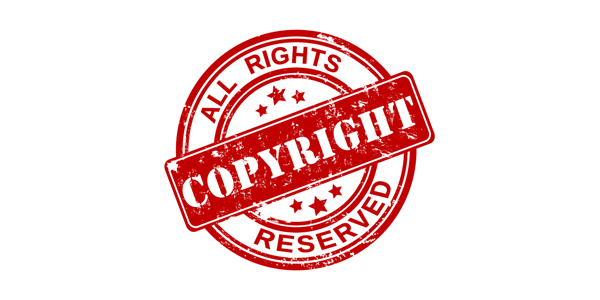 Registry General On Intellectual Property Rights - Bernews