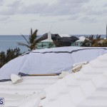 Bermuda After Hurricane Humberto Friday Sept 20 2019  (148)