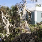 Bermuda After Hurricane Humberto Sept 20 2019 (38)