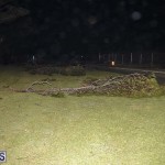 Damages After Hurricane Humberto Bermuda September 19 2019 (119)