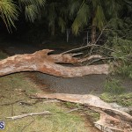 Damages After Hurricane Humberto Bermuda September 19 2019 (57)