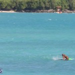 Open Water Bermuda National Swimming Championships, September 15 2019-0010