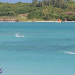Open Water Bermuda National Swimming Championships, September 15 2019-0039
