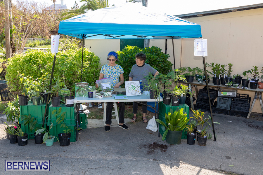 Bermuda Botanical Society Plant Sale, October 12 2019-4651