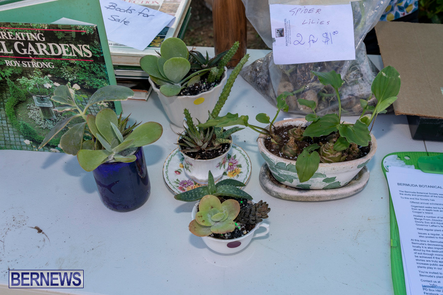 Bermuda Botanical Society Plant Sale, October 12 2019-4653