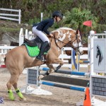 Caribbean Equestrian Association Regional Jumping Challenge Bermuda, November 16 2019-2022