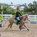Caribbean Equestrian Association Regional Jumping Challenge Bermuda, November 16 2019-2026
