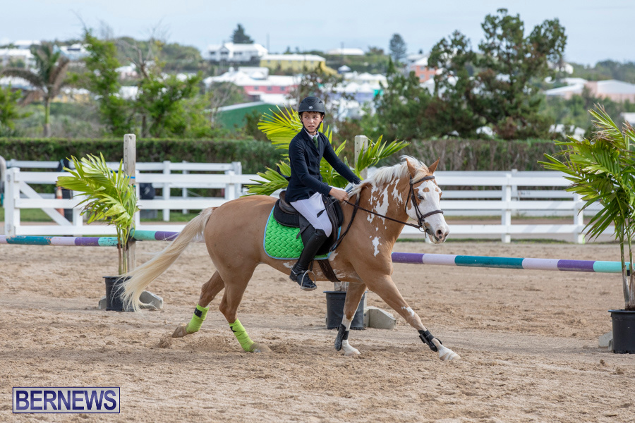 Caribbean-Equestrian-Association-Regional-Jumping-Challenge-Bermuda-November-16-2019-2026