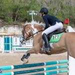 Caribbean Equestrian Association Regional Jumping Challenge Bermuda, November 16 2019-2028