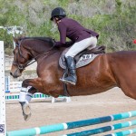 Caribbean Equestrian Association Regional Jumping Challenge Bermuda, November 16 2019-2039