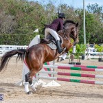 Caribbean Equestrian Association Regional Jumping Challenge Bermuda, November 16 2019-2047