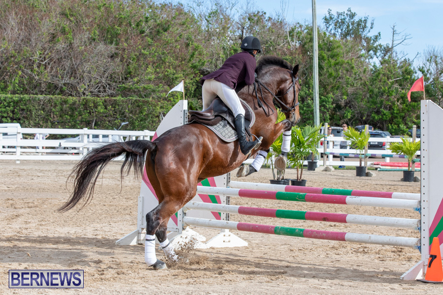 Caribbean-Equestrian-Association-Regional-Jumping-Challenge-Bermuda-November-16-2019-2047